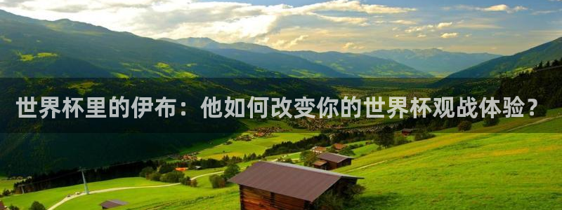 欧洲世界杯预选赛赛程:世界杯里的伊布:他如何改变你的世界杯观战体验?