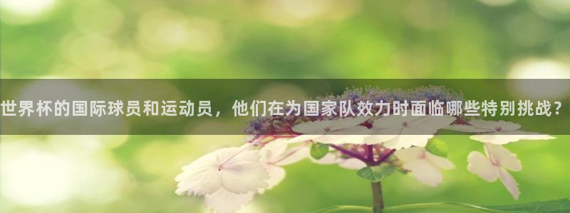 足球世预赛:世界杯的国际球员和运动员,他们在为国家队效力时面临哪些特别挑战?