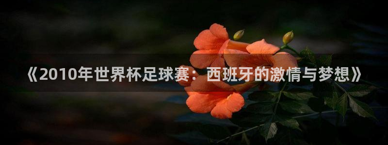 2026世界杯小组赛赛程时间表:《2010年世界杯足球赛:西班牙的激情与梦想》