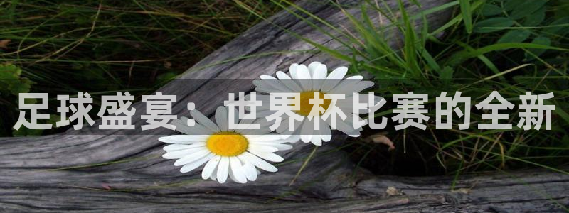 2026世界杯中国队:足球盛宴:世界杯比赛的全新