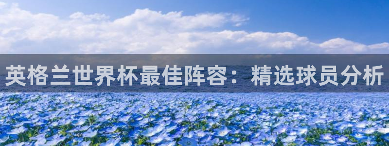 世界杯预选赛:英格兰世界杯最佳阵容:精选球员分析