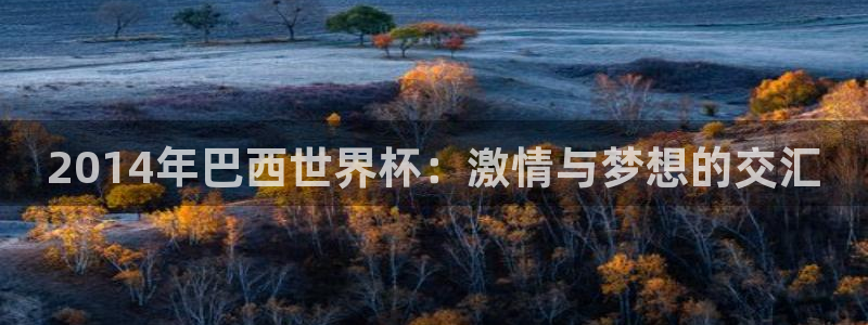 世界杯决赛预测:2014年巴西世界杯:激情与梦想的交汇