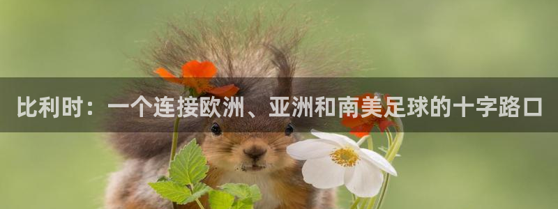 世界杯预赛赛程:比利时:一个连接欧洲、亚洲和南美足球的十字路口