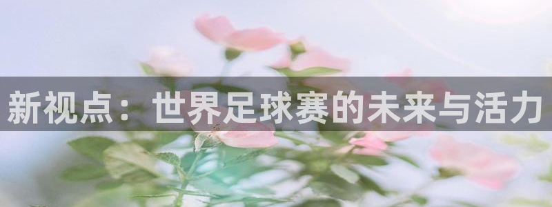 世界杯欧洲区世预赛赛程:新视点:世界足球赛的未来与活力